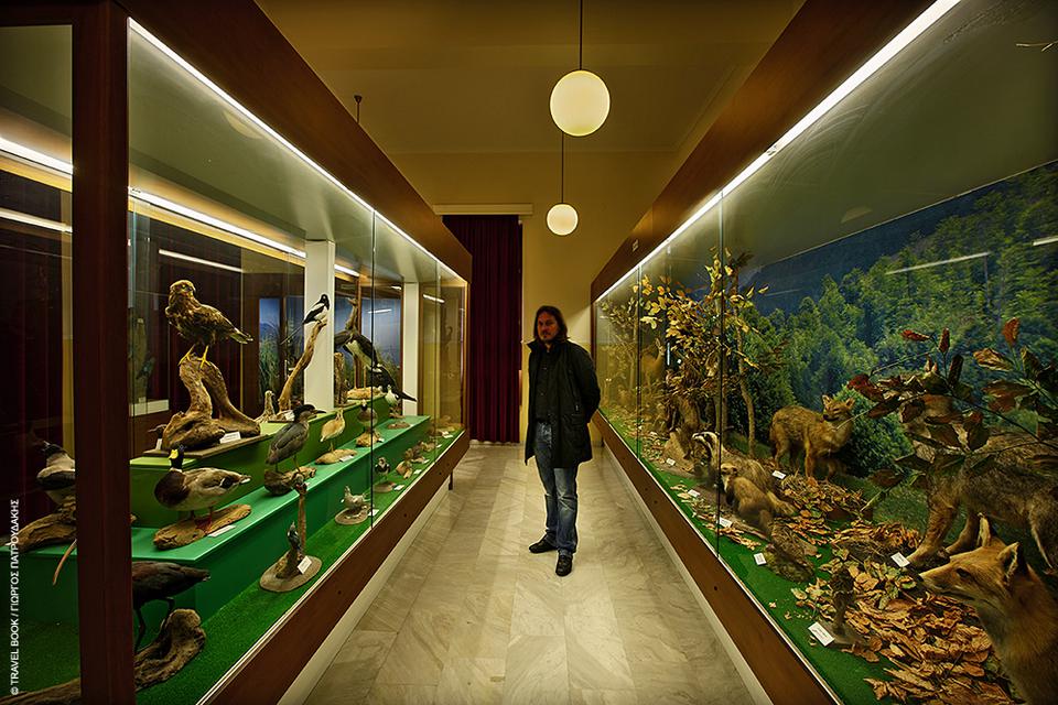 mouseio-fysikis-istorias-paionia