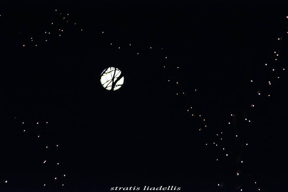 panselhnos xristougenna limnos stratis liadellis