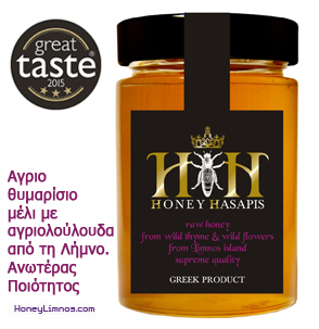 web294x303-gr3star-honey