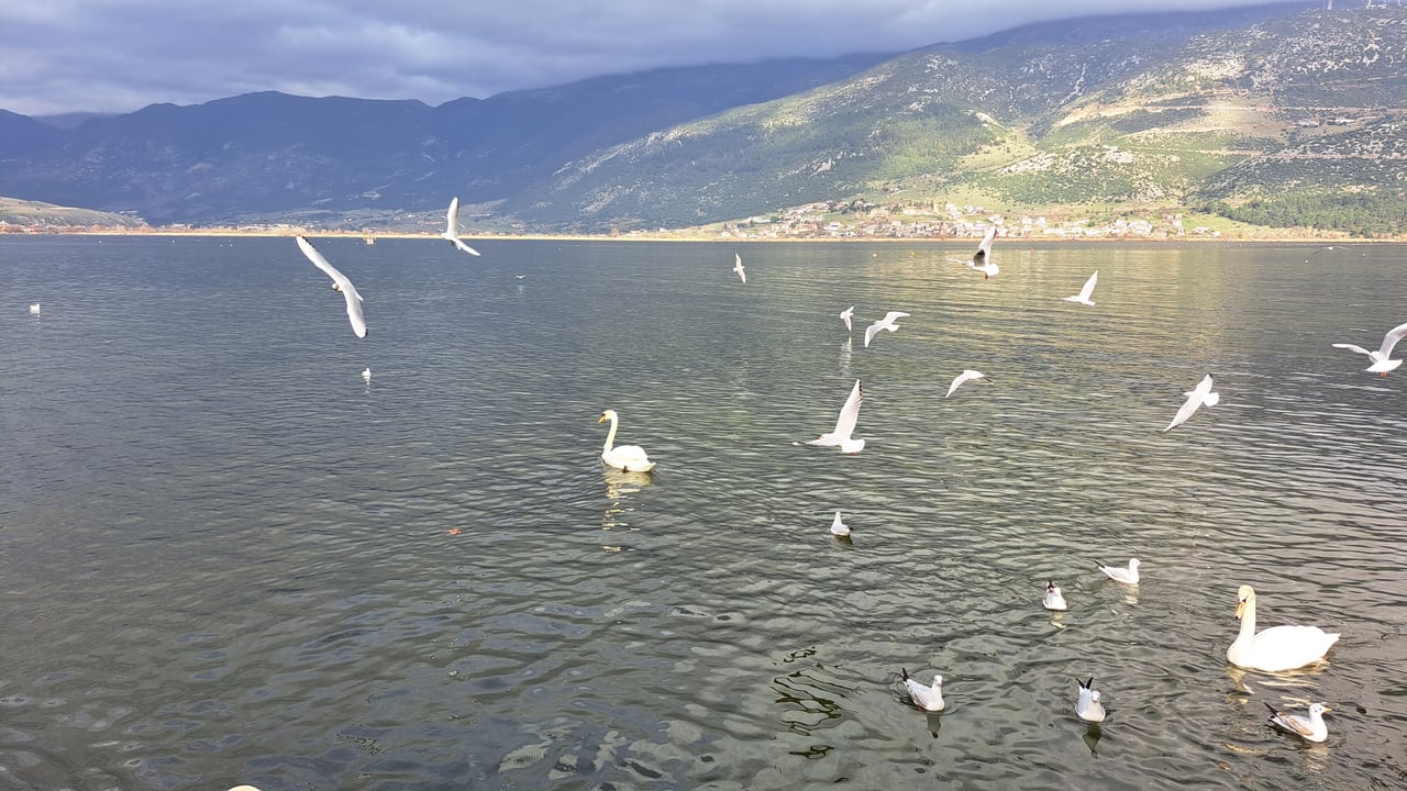 F6197C5A DA60 4A3F 9293 EB17F001A7CD