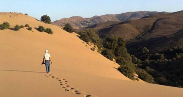 IMG 9158
