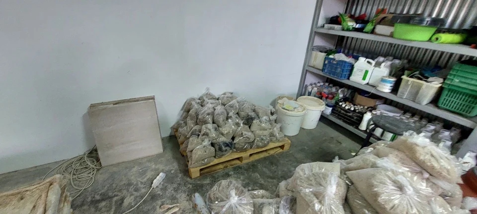 PHOTO 2025 07 03 09 30 33 2596