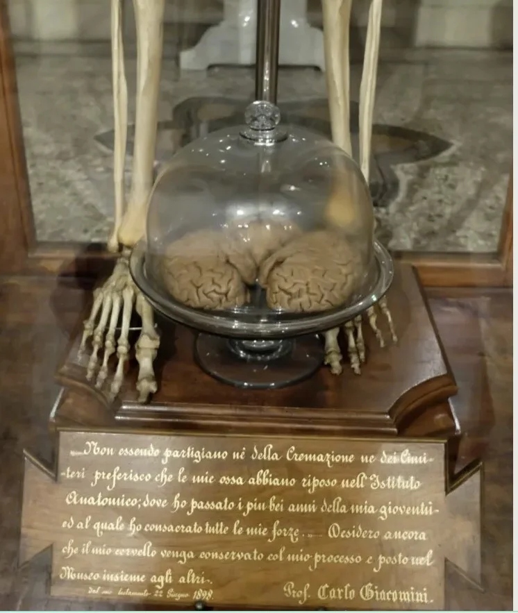 Screenshot 2025 02 24 1359018 9