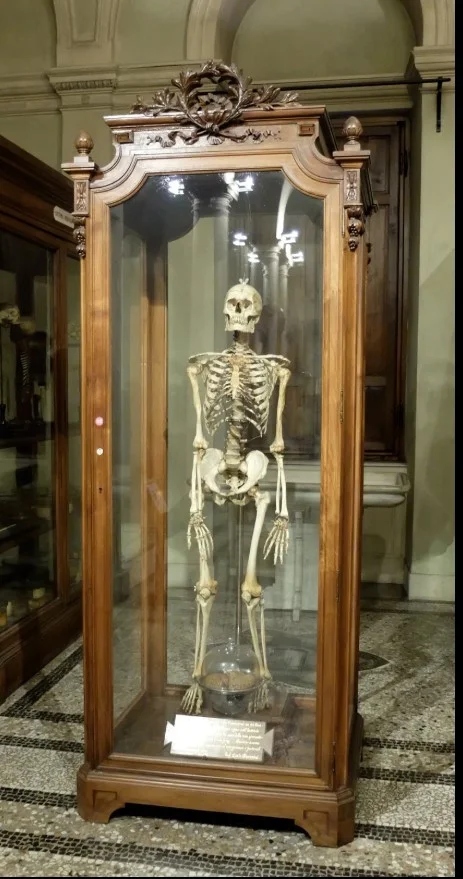 Screenshot 2025 02 24 13592377