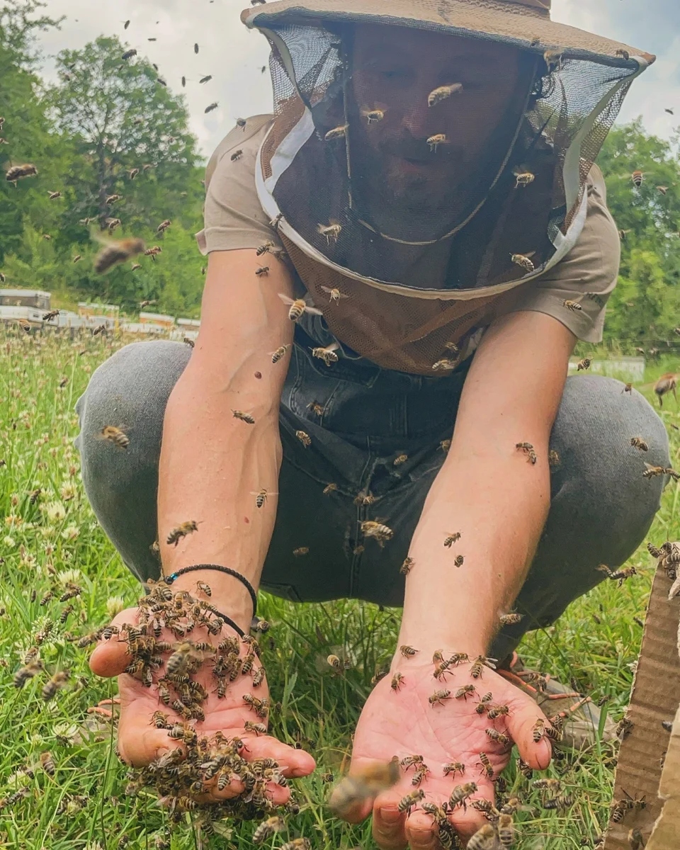 Vasilis Ritas nomadhoney454