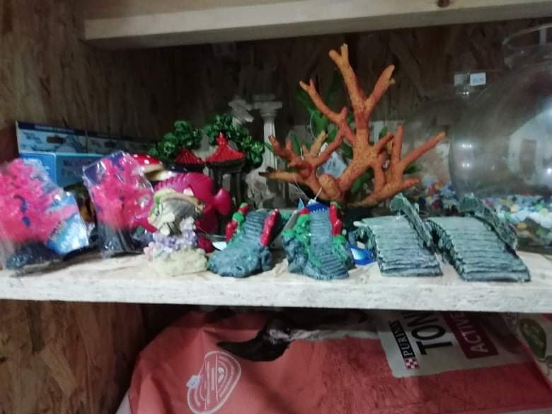 alegrito pet shop grooming limnos 12