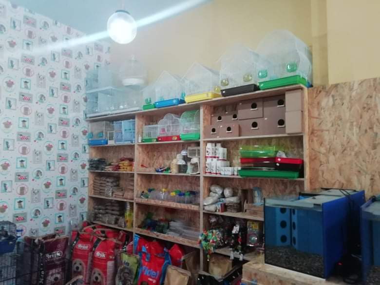 alegrito pet shop grooming limnos 15