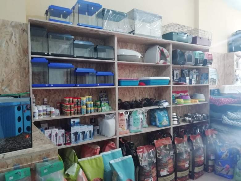 alegrito pet shop grooming limnos 7