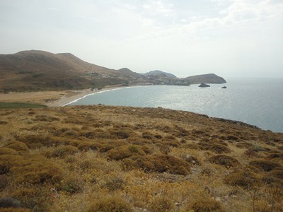 DSC01003