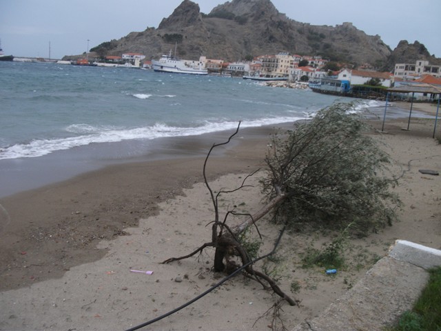 DSCF2103 Αντιγραφη