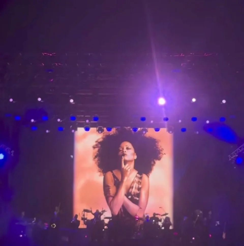 diana ross video wall 04545