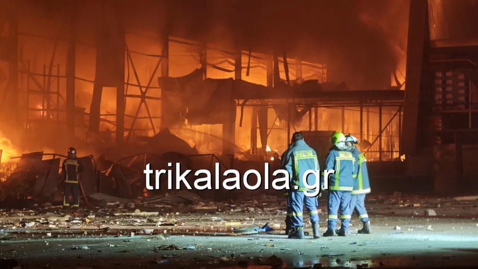 fotia violanta 12 0478