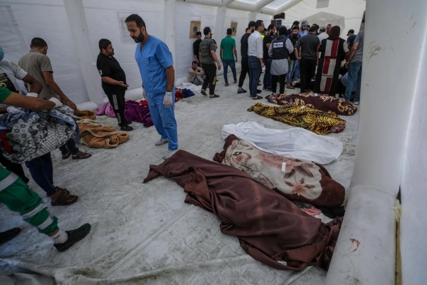 gaza giatroi ptomata kouvertes11