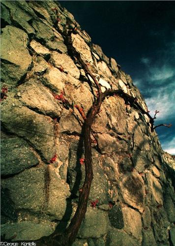 kontellis.limghandler