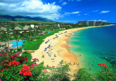maui