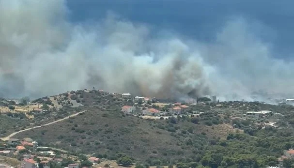 palai fokea 26 6 25 15656