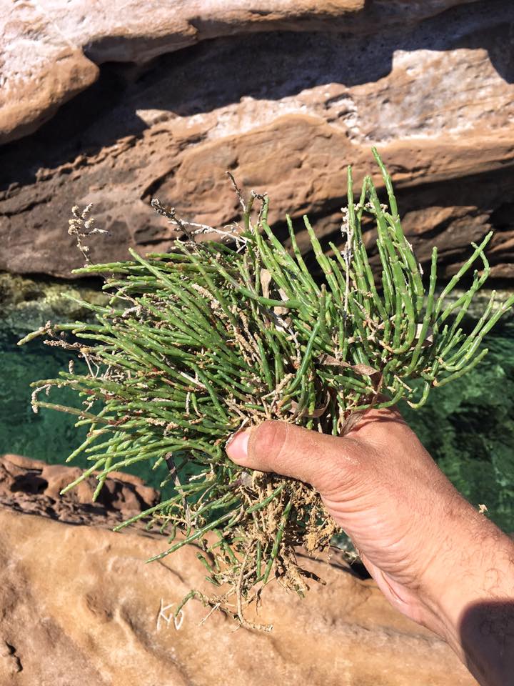 sparaggi thalassas limnos