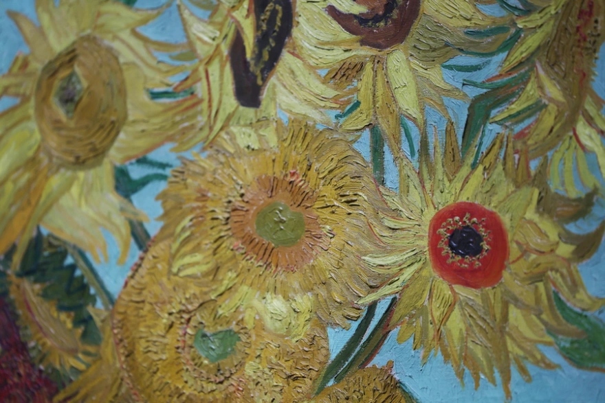 sunflowers 18895588