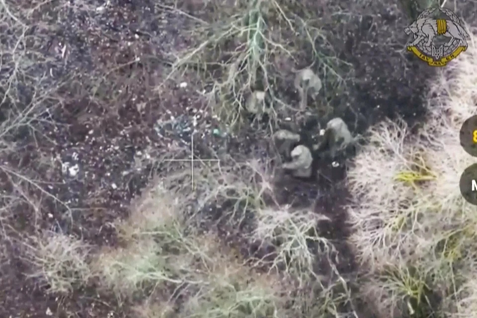 voriokoreates koursk87