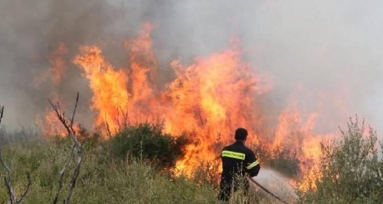 &Phi;&omega;&tau;&iota;ά &tau;ώ&rho;&alpha; &sigma;&tau;&omicron; &Rho;&epsilon;&pi;&alpha;&nu;ί&delta;&iota;