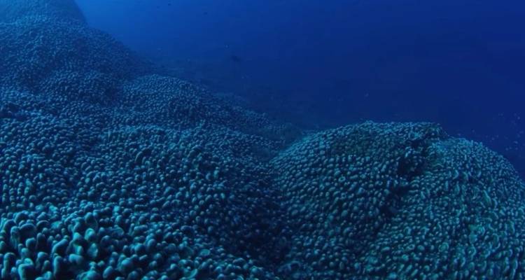 Πλάσμα «στο μέγεθος δύο γηπέδων μπάσκετ» βρέθηκε στα βάθη της θάλασσας