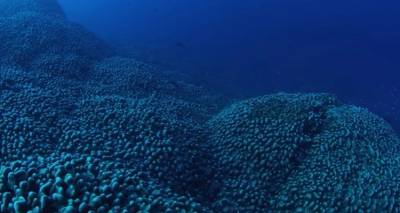 Πλάσμα «στο μέγεθος δύο γηπέδων μπάσκετ» βρέθηκε στα βάθη της θάλασσας