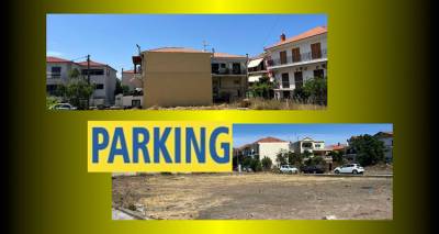 &Mu;ύ&rho;&iota;&nu;&alpha;: &Pi;&rho;&omicron;&sigmaf; &epsilon;&pi;ί&lambda;&upsilon;&sigma;&eta; &tau;&omicron; &pi;&rho;ό&beta;&lambda;&eta;&mu;&alpha; &tau;&eta;&sigmaf; έ&lambda;&lambda;&epsilon;&iota;&psi;&eta;&sigmaf; &pi;ά&rho;&kappa;&iota;&nu;&gamma;&kappa;