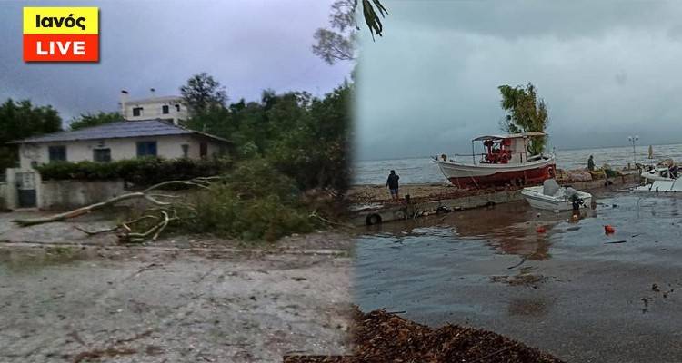 &Kappa;&alpha;&kappa;&omicron;&kappa;&alpha;&iota;&rho;ί&alpha; &Iota;&alpha;&nu;ό&sigmaf;: &Pi;&omicron;ύ &beta;&rho;ί&sigma;&kappa;&epsilon;&tau;&alpha;&iota; &omicron; &kappa;&upsilon;&kappa;&lambda;ώ&nu;&alpha;&sigmaf; - &Pi;&rho;&omicron;&beta;&lambda;ή&mu;&alpha;&tau;&alpha; &sigma;&epsilon; &Kappa;&epsilon;&phi;&alpha;&lambda;&omicron;&nu;&iota;ά, &Zeta;ά&kappa;&upsilon;&nu;&theta;&omicron;, &Iota;&theta;ά&kappa;&eta;