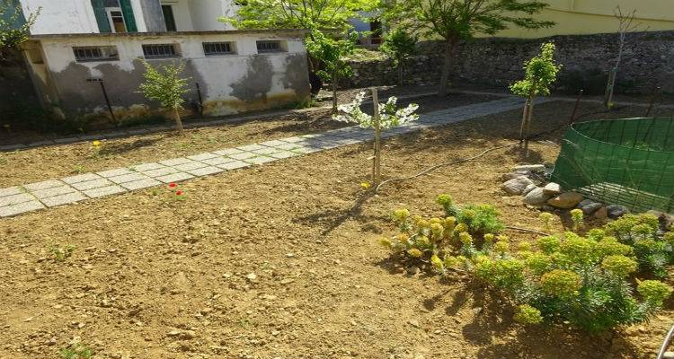 &Epsilon;&gamma;&kappa;&alpha;ί&nu;&iota;&alpha; &gamma;&iota;&alpha; &tau;&omicron;&nu; &Beta;&omicron;&tau;&alpha;&nu;&iota;&kappa;ό &Kappa;ή&pi;&omicron; &tau;&eta;&sigmaf; &Lambda;ή&mu;&nu;&omicron;&upsilon; (photos)