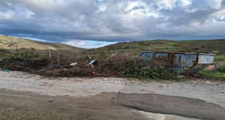 &Sigma;&alpha;&rho;&delta;έ&sigmaf;: &Sigma;&omega;&rho;&epsilon;&upsilon;&mu;έ&nu;&alpha; &kappa;&lambda;&alpha;&delta;&iota;ά &kappa;&alpha;&iota; &sigma;&kappa;&omicron;&upsilon;&pi;ί&delta;&iota;&alpha; &epsilon;&kappa;&tau;ό&sigmaf; &kappa;ά&delta;&omicron;&upsilon; &kappa;&iota; &omicron; &kappa;ά&delta;&omicron;&sigmaf; &delta;ί&pi;&lambda;&alpha; ά&delta;&epsilon;&iota;&omicron;&sigmaf;