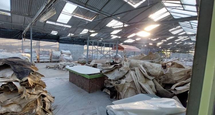 Επιχείρηση του ελληνικού FBI για ναρκωτικά σε σπίτι στα νότια προάστια -Εντόπισαν κοκαΐνη εμποτισμένη σε δέρματα [εικόνες]