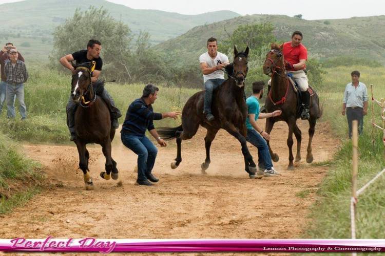 &Omicron;&iota; &nu;&iota;&kappa;&eta;&tau;έ&sigmaf; &tau;&omicron;&upsilon; &pi;&alpha;&tau;&rho;&omicron;&pi;&alpha;&rho;ά&delta;&omicron;&tau;&omicron;&upsilon; &epsilon;&theta;ί&mu;&omicron;&upsilon; &tau;&omega;&nu; &iota;&pi;&pi;&omicron;&delta;&rho;&omicron;&mu;&iota;ώ&nu; &sigma;&tau;&eta;&nu; &Kappa;&alpha;&lambda;&lambda;&iota;ό&pi;&eta; (photos)