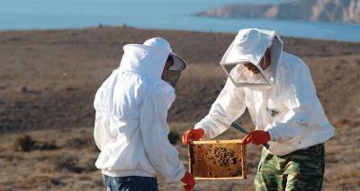 &Omicron; &laquo;&Gamma;&alpha;&sigma;&tau;&rho;&omicron;&nu;ό&mu;&omicron;&sigmaf;&raquo; &pi;&alpha;&rho;&omicron;&upsilon;&sigma;&iota;ά&zeta;&epsilon;&iota; &tau;&omicron; Honey Hasapis: &laquo;Έ&nu;&alpha; &alpha;&kappa;&rho;&iota;&tau;&iota;&kappa;ό  &theta;&upsilon;&mu;&alpha;&rho;ί&sigma;&iota;&omicron; &mu;έ&lambda;&iota; &alpha;&nu;ώ&tau;&epsilon;&rho;&omicron; &kappa;&alpha;&iota; &alpha;&pi;ό &tau;&omicron; &Mu;&alpha;&nu;&omicron;ύ&kappa;&alpha;&raquo;