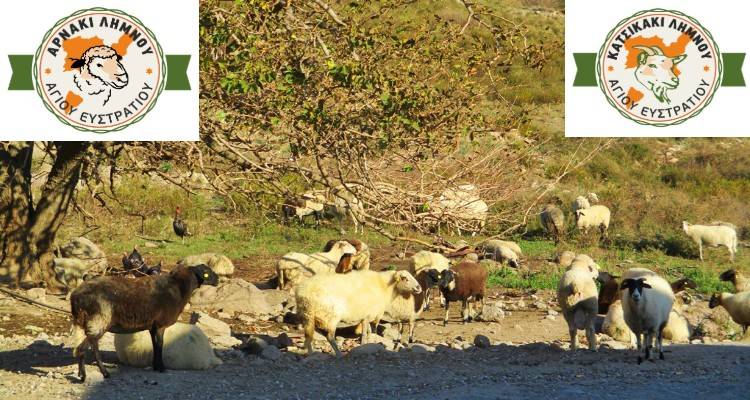 &Lambda;ή&mu;&nu;&omicron;&sigmaf;, &zeta;&omega;ή, &pi;&alpha;&rho;ά&delta;&omicron;&sigma;&eta;, &pi;&alpha;&rho;&alpha;&gamma;&omega;&gamma;ή