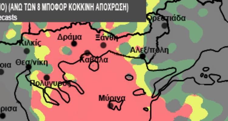 &Pi;&rho;&omicron;&epsilon;&iota;&delta;&omicron;&pi;&omicron;&iota;&epsilon;ί &omicron; &Sigma;ά&kappa;&eta;&sigmaf; &Alpha;&rho;&nu;&alpha;&omicron;ύ&tau;&omicron;&gamma;&lambda;&omicron;&upsilon;: &Kappa;&alpha;&tau;&alpha;&iota;&gamma;ί&delta;&epsilon;&sigmaf;, &iota;&sigma;&chi;&upsilon;&rho;&omicron;ί &nu;&omicron;&tau;&iota;ά&delta;&epsilon;&sigmaf; &kappa;&alpha;&iota; &alpha;&phi;&rho;&iota;&kappa;&alpha;&nu;&iota;&kappa;ή &sigma;&kappa;ό&nu;&eta; &tau;&eta;&nu; &Pi;&alpha;&rho;&alpha;&sigma;&kappa;&epsilon;&upsilon;ή