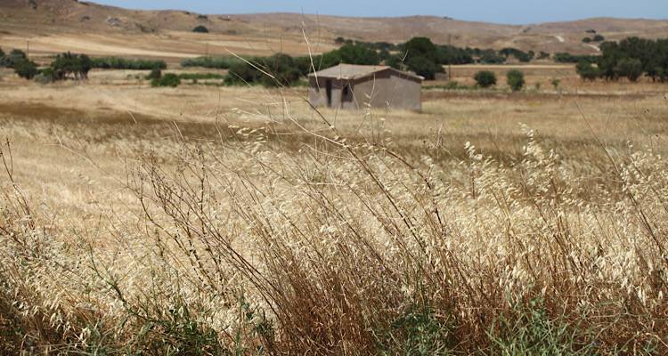 Λήμνος: Πρόγραμμα κατάρτισης 150 ωρών για Νέους Γεωργούς και Μικρές Γεωργικές Εκμεταλλεύσεις