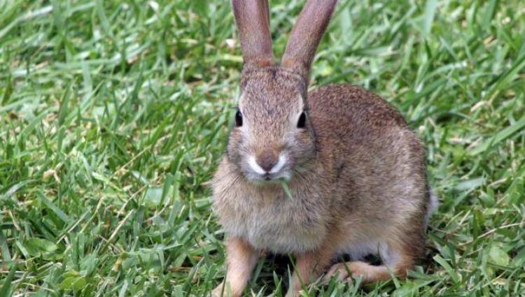 &Sigma;ή&mu;&epsilon;&rho;&alpha; &eta; &pi;&rho;ώ&tau;&eta; &sigma;&upsilon;&nu;&epsilon;&delta;&rho;ί&alpha;&sigma;&eta; &tau;&eta;&sigmaf; &epsilon;&pi;&iota;&tau;&rho;&omicron;&pi;ή&sigmaf; &gamma;&iota;&alpha; &tau;&eta;&nu; &alpha;&nu;&tau;&iota;&mu;&epsilon;&tau;ώ&pi;&iota;&sigma;&eta; &tau;&omega;&nu; &alpha;&gamma;&rho;&iota;&omicron;&kappa;&omicron;ύ&nu;&epsilon;&lambda;&omega;&nu; &tau;&eta;&sigmaf; &Lambda;ή&mu;&nu;&omicron;&upsilon;