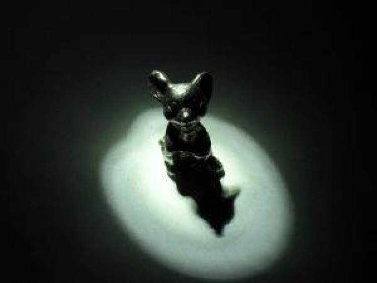 &Tau;&omicron; &pi;&omicron;&nu;&tau;ί&kappa;&iota; &kappa;&alpha;&iota; &eta; &kappa;&omicron;&upsilon;&kappa;&omicron;&upsilon;&beta;ά&gamma;&iota;&alpha;