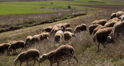&Sigma;&tau;ά&sigma;&eta; &epsilon;&rho;&gamma;&alpha;&sigma;ί&alpha;&sigmaf; &kappa;&alpha;&iota; έ&nu;&tau;&omicron;&nu;&epsilon;&sigmaf; &alpha;&nu;&tau;&iota;&delta;&rho;ά&sigma;&epsilon;&iota;&sigmaf; &gamma;&iota;&alpha; &tau;&iota;&sigmaf; &mu;&epsilon;&tau;&alpha;&kappa;&iota;&nu;ή&sigma;&epsilon;&iota;&sigmaf; &Kappa;&tau;&eta;&nu;&iota;ά&tau;&rho;&omega;&nu; &sigma;&tau;&eta; &Lambda;ή&mu;&nu;&omicron;