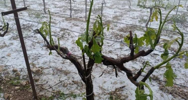 Κακοκαιρία στη Θεσσαλία -Κολυδάς: Καταιγιδοφόρο νέφος προκάλεσε τις χαλαζοπτώσεις