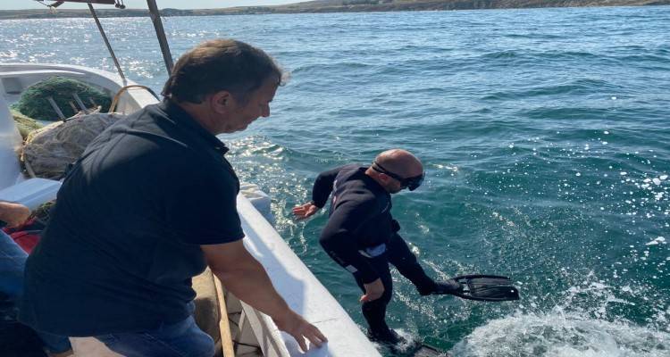 &Lambda;ή&mu;&omicron;&sigmaf; &Lambda;ή&mu;&nu;&omicron;&upsilon;: &Kappa;&alpha;&mu;ί&alpha; &alpha;&nu;&eta;&sigma;&upsilon;&chi;ί&alpha; &gamma;&iota;&alpha; &tau;&omicron;&upsilon;&sigmaf; &kappa;&omicron;&lambda;&upsilon;&mu;&beta;&eta;&tau;έ&sigmaf;