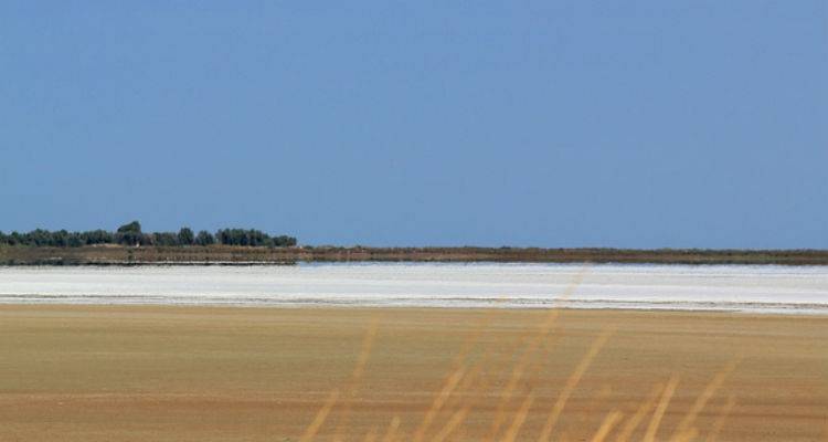 “Εγκληματική ανθρώπινη παρέμβαση κατέστρεψε την Αλυκή της Λήμνου" (photos)