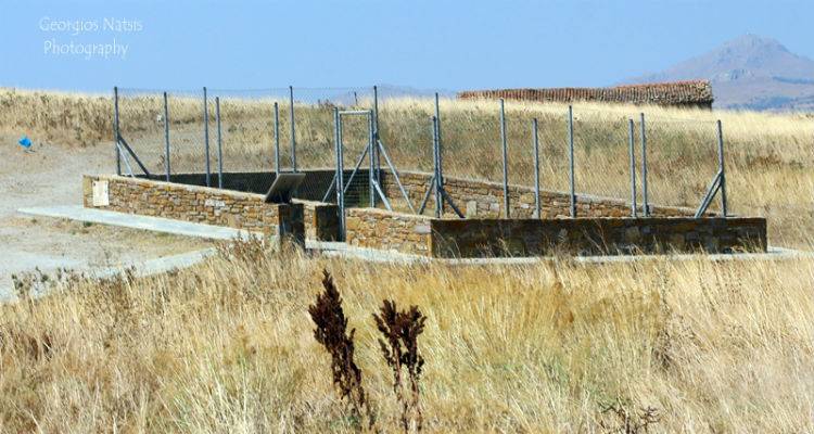 &Tau;&omicron; &Alpha;&pi;&omicron;&lambda;&iota;&theta;&omega;&mu;έ&nu;&omicron; &Delta;ά&sigma;&omicron;&sigmaf; &tau;&eta;&sigmaf; &Lambda;ή&mu;&nu;&omicron;&upsilon; &mu;&alpha;&rho;&tau;&upsilon;&rho;ά &tau;&eta; &beta;&lambda;ά&sigma;&tau;&eta;&sigma;&eta; &pi;&omicron;&upsilon; &upsilon;&pi;ή&rho;&chi;&epsilon; &sigma;&tau;&omicron; &nu;&eta;&sigma;ί