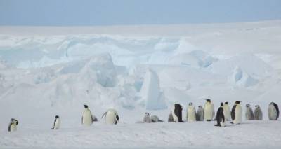 Τι θα κάνουν Έλληνες επιστήμονες στην Ανταρκτική -Αναχωρούν δύο ερευνητές, τι ετοιμάζεται