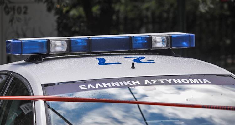 &Pi;ά&rho;&gamma;&alpha;: &Pi;&upsilon;&rho;&omicron;&beta;ό&lambda;&eta;&sigma;&epsilon; &epsilon;&nu; &psi;&upsilon;&chi;&rho;ώ &sigma;&kappa;ύ&lambda;&omicron; &mu;&pi;&rho;&omicron;&sigma;&tau;ά &sigma;&epsilon; &alpha;&nu;ή&lambda;&iota;&kappa;&alpha; &pi;&alpha;&iota;&delta;&iota;ά