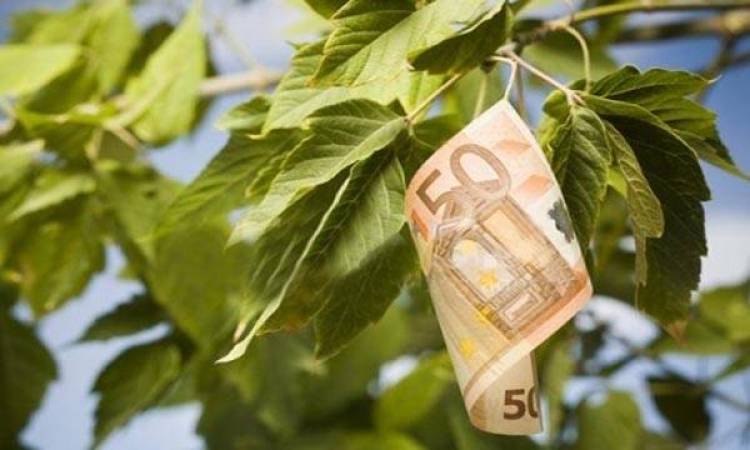 Αναρτήθηκαν οι καταστάσεις εξισωτικής αποζημίωσης 2013 | Ξεκινάει η διαδικασία των ενστάσεων
