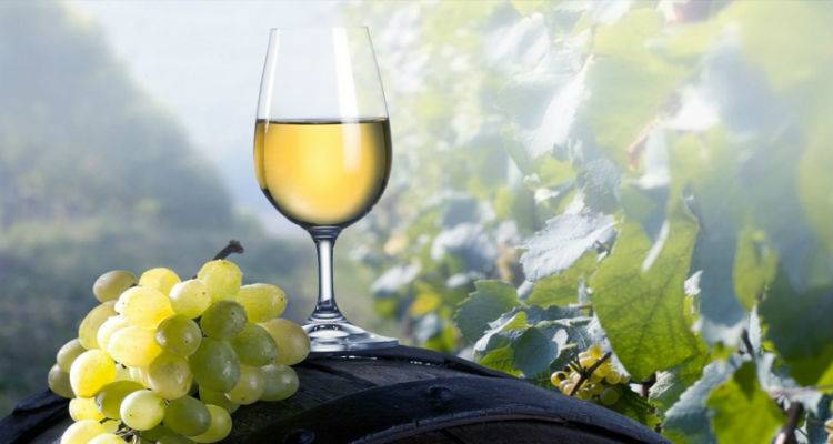 &Sigma;&tau;&alpha; ί&delta;&iota;&alpha; &pi;&omicron;&sigma;&omicron;&tau;&iota;&kappa;ά &epsilon;&pi;ί&pi;&epsilon;&delta;&alpha; &mu;&epsilon; &pi;έ&rho;&upsilon;&sigma;&iota; &eta; &phi;&epsilon;&tau;&iota;&nu;ή &pi;&alpha;&rho;&alpha;&gamma;&omega;&gamma;ή &sigma;&tau;&alpha;&phi;&upsilon;&lambda;&iota;ώ&nu; &sigma;&tau;&eta; &Lambda;ή&mu;&nu;&omicron;