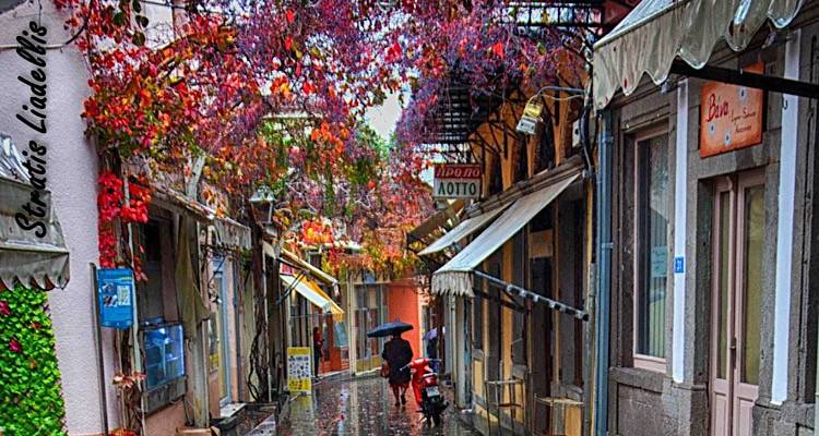 &Phi;&omega;&tau;ό: &Sigma;&tau;&rho;&alpha;&tau;ή&sigmaf; &Lambda;&iota;&alpha;&delta;έ&lambda;&lambda;&eta;&sigmaf;