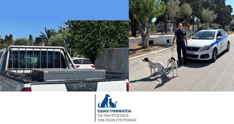 &Eta; &tau;&omicron;&pi;&omicron;&theta;έ&tau;&eta;&sigma;&eta; &tau;&eta;&sigmaf; &Epsilon;&iota;&delta;&iota;&kappa;ή&sigmaf; &Gamma;&rho;&alpha;&mu;&mu;&alpha;&tau;&epsilon;ί&alpha;&sigmaf; &gamma;&iota;&alpha; &tau;&eta;&nu; &Pi;&rho;&omicron;&sigma;&tau;&alpha;&sigma;ί&alpha; &tau;&omega;&nu; &Zeta;ώ&omega;&nu; &Sigma;&upsilon;&nu;&tau;&rho;&omicron;&phi;&iota;ά&sigmaf; &gamma;&iota;&alpha; &tau;&eta;&nu; &upsilon;&pi;ό&theta;&epsilon;&sigma;&eta; &kappa;&alpha;&kappa;&omicron;&pi;&omicron;ί&eta;&sigma;&eta;&sigmaf; &sigma;&kappa;ύ&lambda;&omega;&nu; &sigma;&tau;&eta; &Lambda;ή&mu;&nu;&omicron;