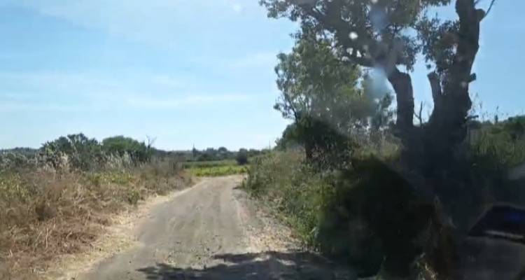 Aegean Organics: &Epsilon;&upsilon;&chi;&alpha;&rho;&iota;&sigma;&tau;ί&epsilon;&sigmaf; &pi;&rho;&omicron;&sigmaf; &tau;&omicron;&nu; &Alpha;&nu;&tau;&iota;&delta;ή&mu;&alpha;&rho;&chi;&omicron; &Chi;&alpha;&rho;ά&lambda;&alpha;&mu;&pi;&omicron; &Sigma;&kappa;&alpha;&pi;έ&tau;&eta; &gamma;&iota;&alpha; &tau;&omicron;&nu; &kappa;&alpha;&theta;&alpha;&rho;&iota;&sigma;&mu;ό &delta;&rho;ό&mu;&omicron;&upsilon; &sigma;&tau;&omicron;&nu; Ά&gamma;&iota;&omicron; &Delta;&eta;&mu;ή&tau;&rho;&iota;&omicron;